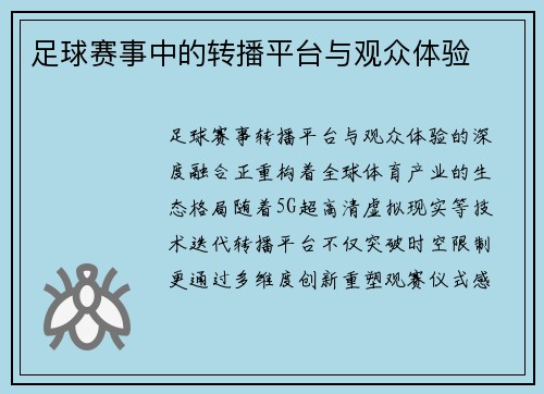 足球赛事中的转播平台与观众体验
